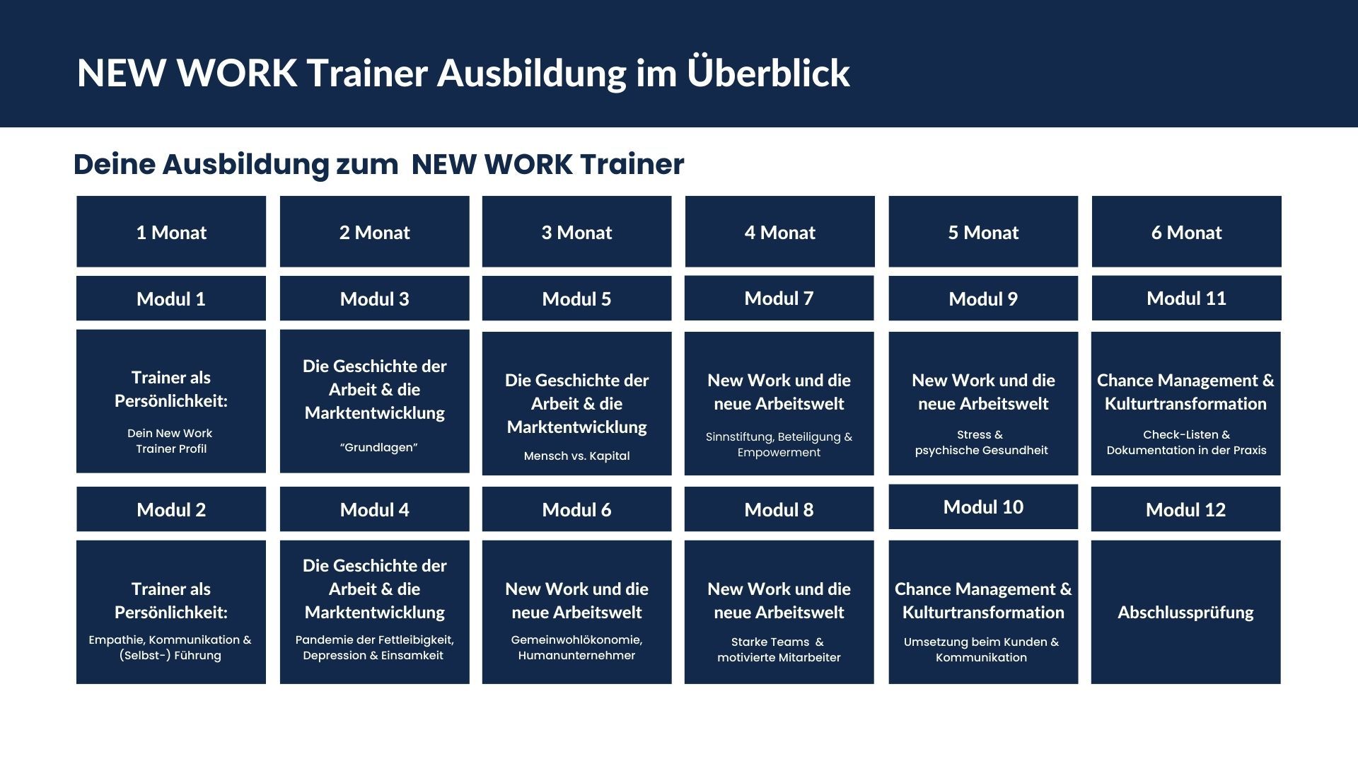 new work trainerausbildung modul uebersicht